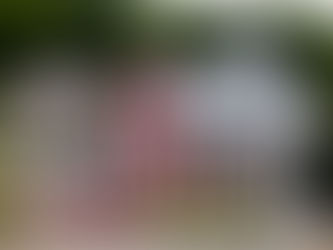 Diagnostic toiture à Dijon : pourquoi est-ce indispensable ?