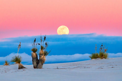 Image by John Fowler