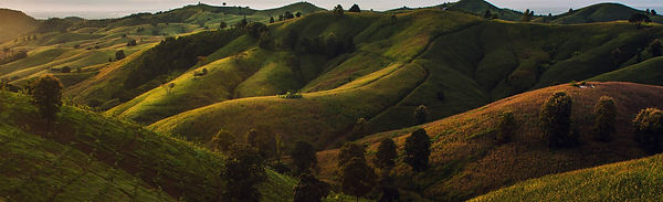 Rolling green hills under a soft sky, representing calm and peaceful imagery for EMDR therapy’s Calm Safe Place exercise.