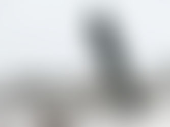 Heimilisfjármálin á stormasömu ári