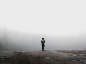 Seeking Wisdom and Understanding