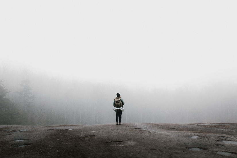 Image by Andrew Neel