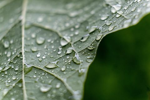 Image by Matt Hoffman