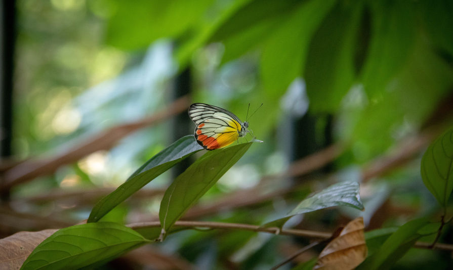 Image by Nick Fewings