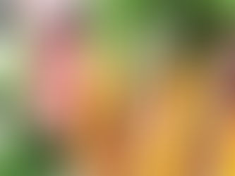 Welttag der Karotte – Knackig, süß und gesund auf dem Ostertisch