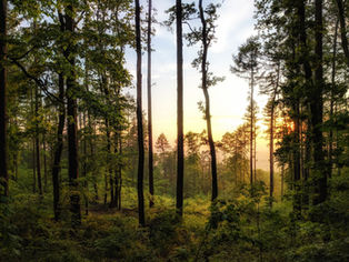 Reconciliation, an ethical encounter with your fellow human