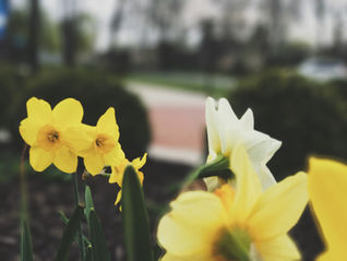 Unveiling the Power of Unmerited Favor: A Deep Dive into Understanding Grace