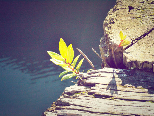 ״הרגשתי שאני מתחזקת, מתחברת לעצמי״