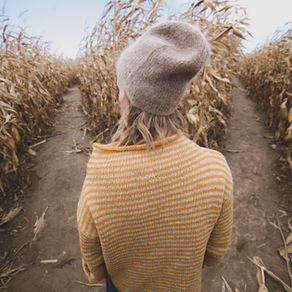 Career Strategy: Rise or Specialise
