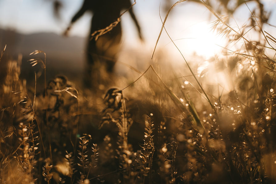 Image by Tory Hallenburg