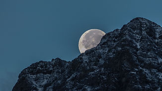 Image by Kym MacKinnon