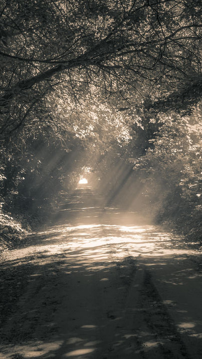 Espiritualidade e Câncer existe relação?