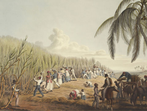 COMMITTED TO REPARATIONS