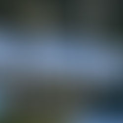 LinkedIn facing lawsuits for restricting media CEO Joseph Bonner account after police brutality post