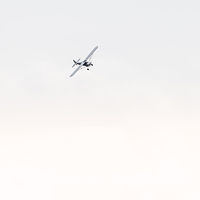 Image by Martin Adams