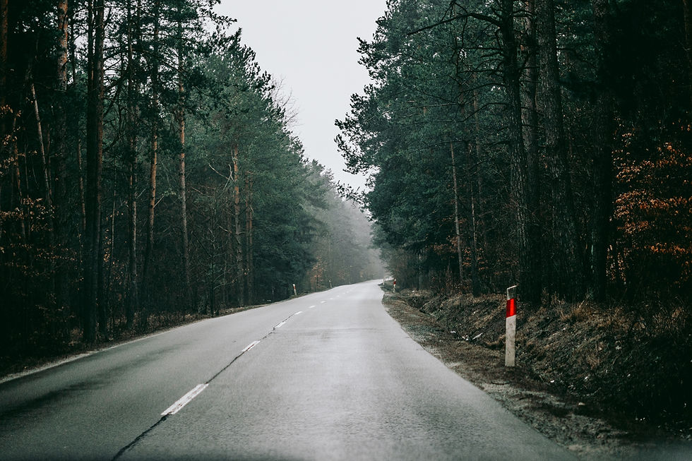 Image by Sebastian Pociecha