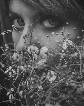 Image by Alexander Krivitskiy