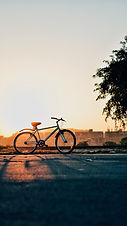 Image by Vishal Banik