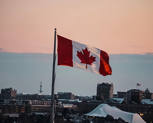 Image by sebastiaan stam