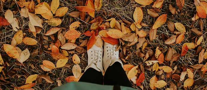 Image by Roxana Zerni