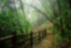 Image by Angshu Purkait