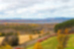 Image de Perfectus Photography & Design Co.