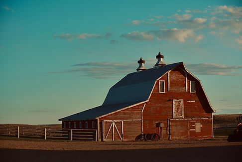 Image by sawyer