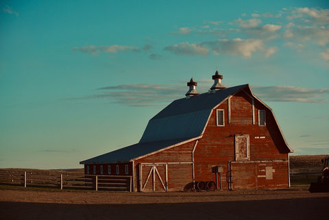 Image by sawyer