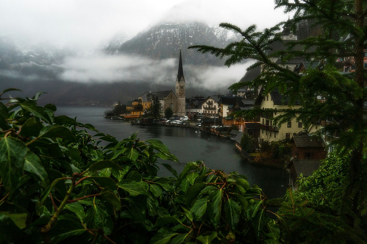 Image by Tyler Scheviak