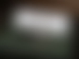 Legal contract for the scholarship