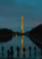 Gita a Washington DC da New York con guida italiana