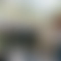 The Geometry of Vitality: Why the 15-Minute City is an Urban Ecosystem