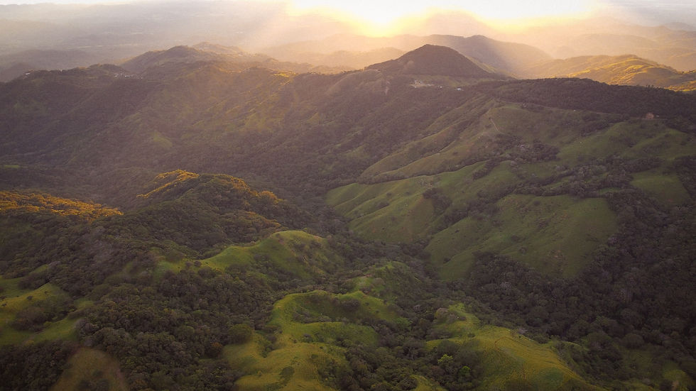 Aerial view of sunlit mountains with lush green forests and valleys. Sun rays create a serene, golden haze over the landscape.