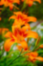 Three Hour Resilience and Renewal Retreat