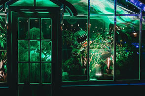 Image by Steven Van Elk