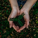 Image by Noah Buscher