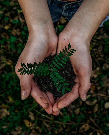 Image by Noah Buscher