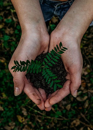 Image by Noah Buscher