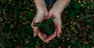 Penerimaan Pajak Lingkungan Dari Uni Eropa Alami Penurunan Pada 2022