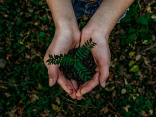 Moving to a Circular Economy: What defines it and how you can help.