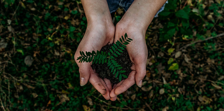 Image by Noah Buscher