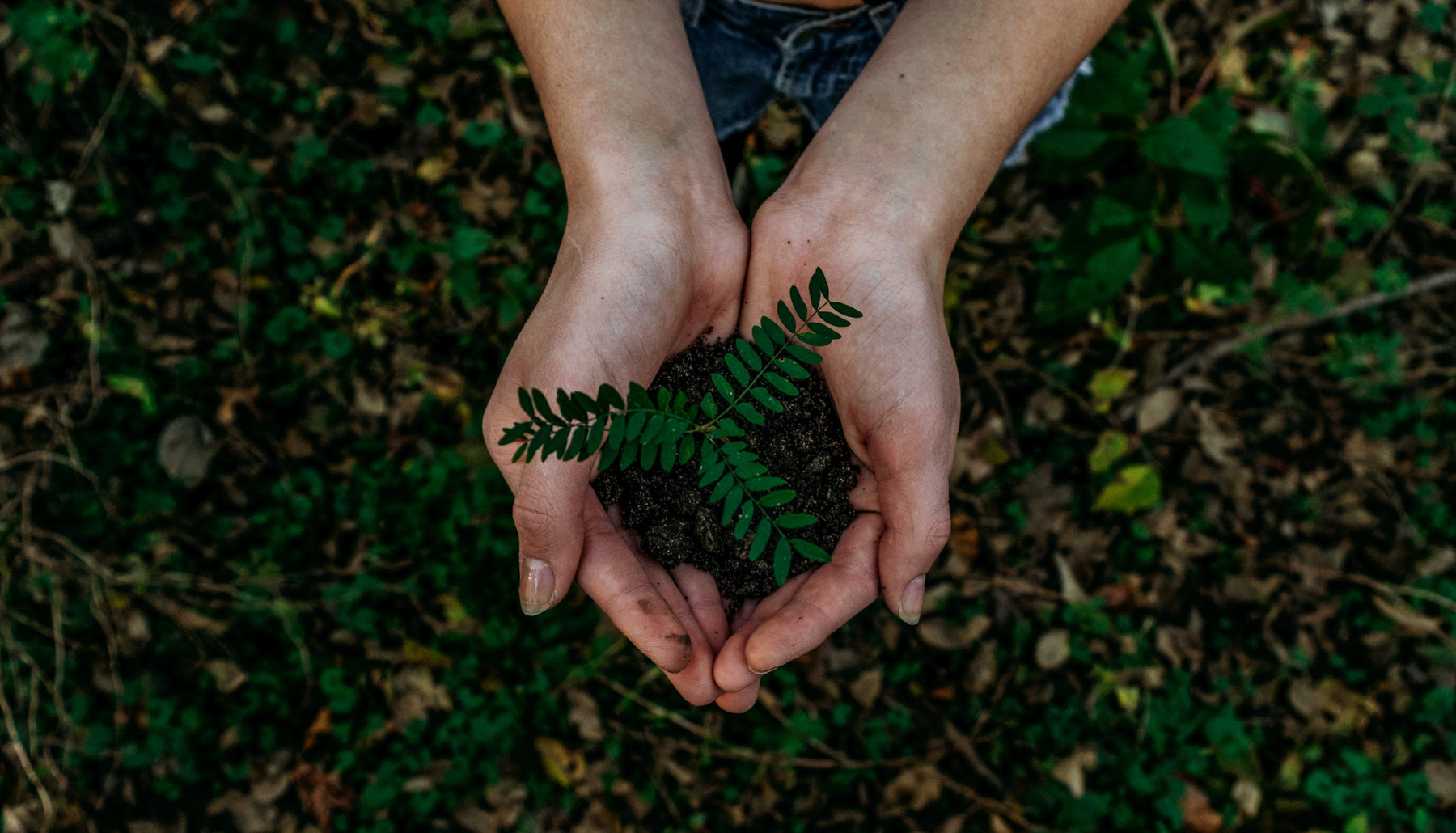 Organic September: Gen Z And Millennials Choose To Love Organic