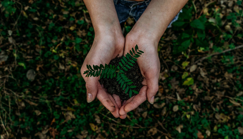 Organic September: Gen Z And Millennials Choose To Love Organic