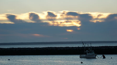 Image by Nick Wilson