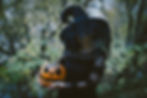 Halloween & Siegerparty