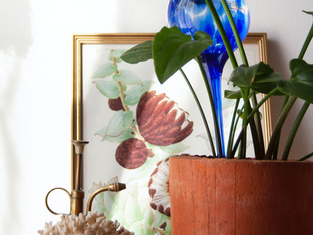 Terra in je Interieur: warmte, balans en Feng Shui