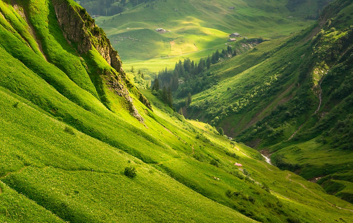 Image by Daniel Angele