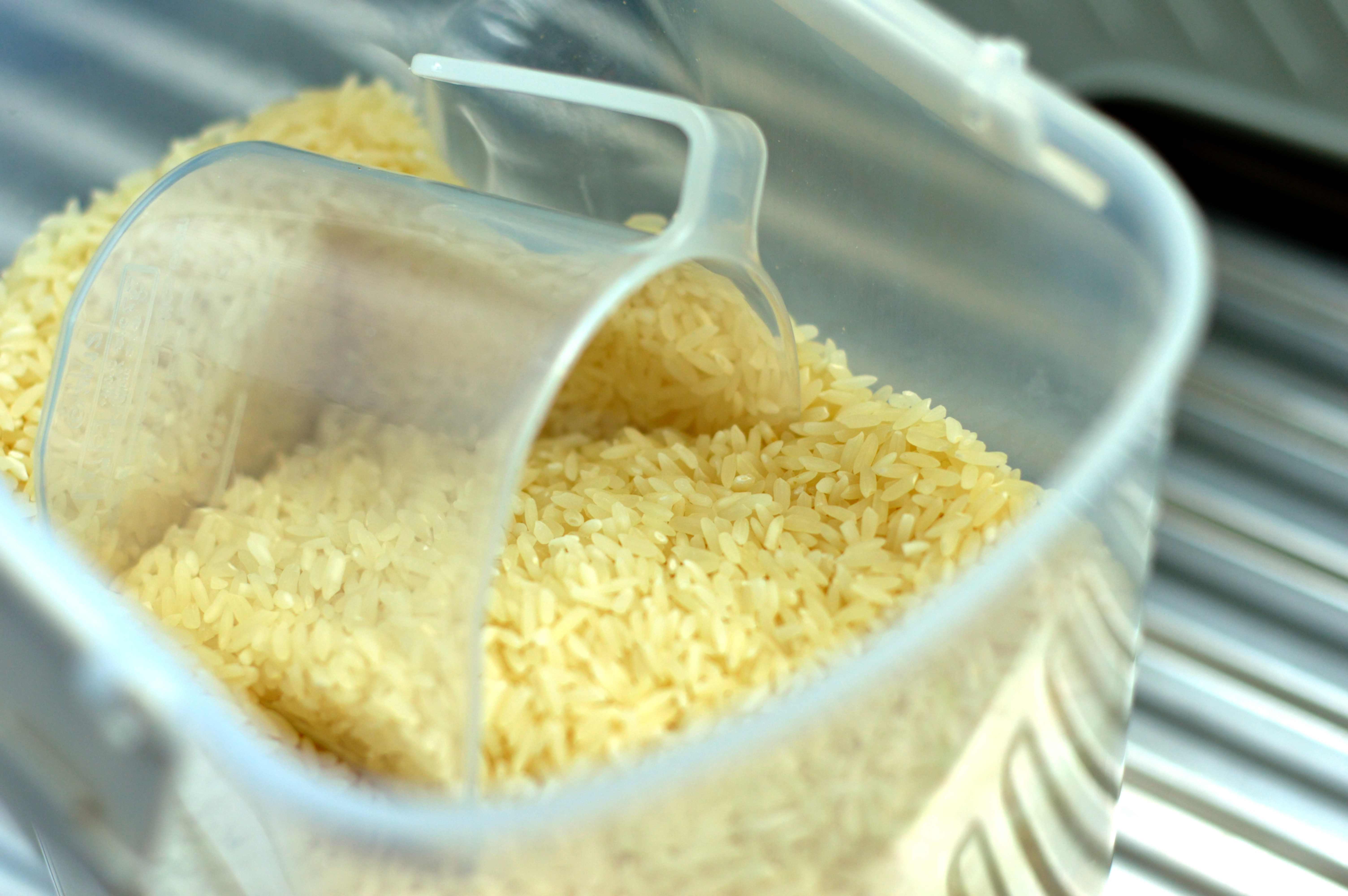 Normal rice