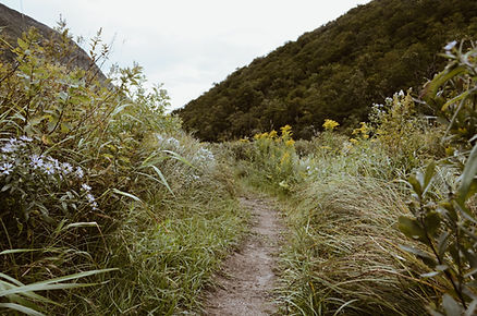 Image by Kelly Sikkema