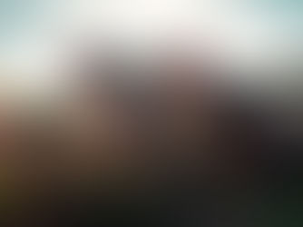 Aplican Principio Precautorio a una Mega granja porcícola en Yucatán 